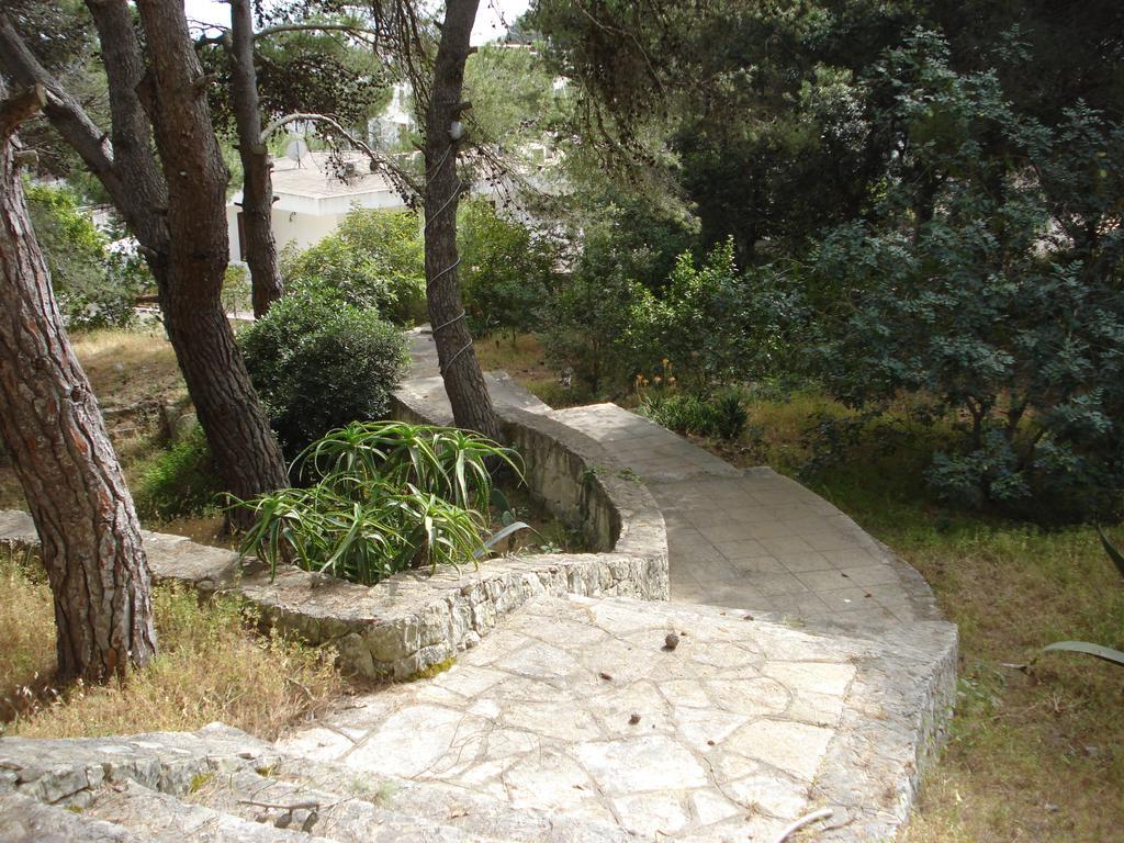 NardòTrullo In The Wood别墅 外观 照片
